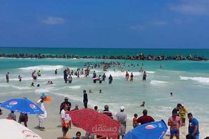 شاطئ النخيل في مصر ( إليك أهم 3 فنادق ومطاعم موجودة فيه)