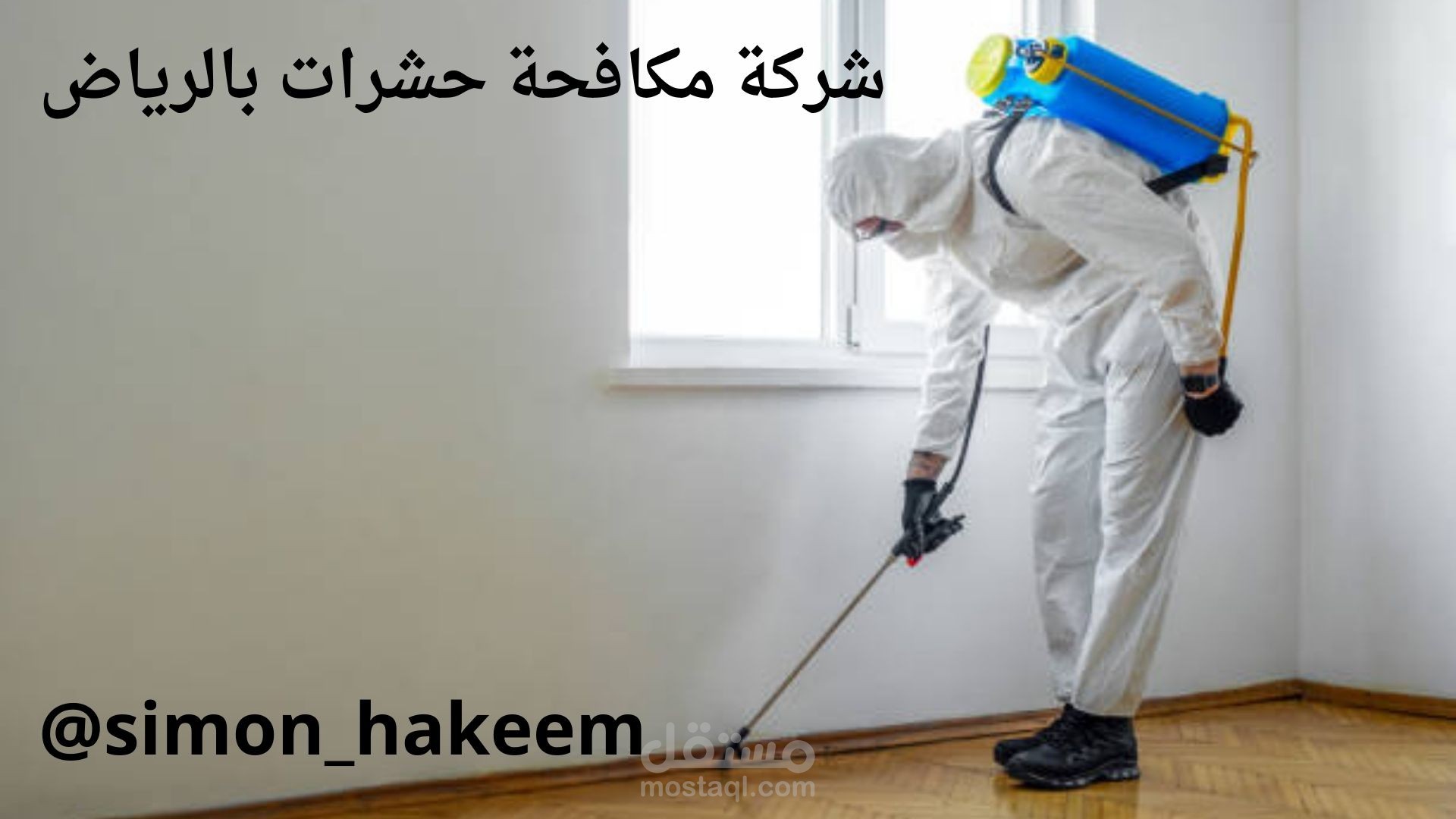 مقال عن "شركة مكافحة حشرات بالرياض"