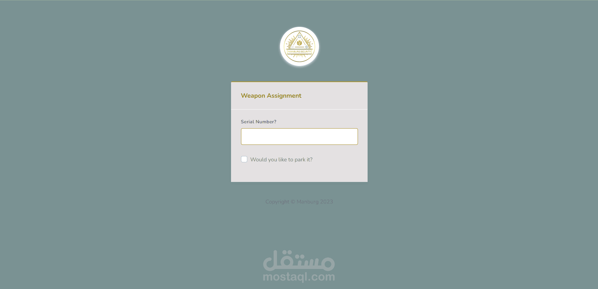 Software Developer