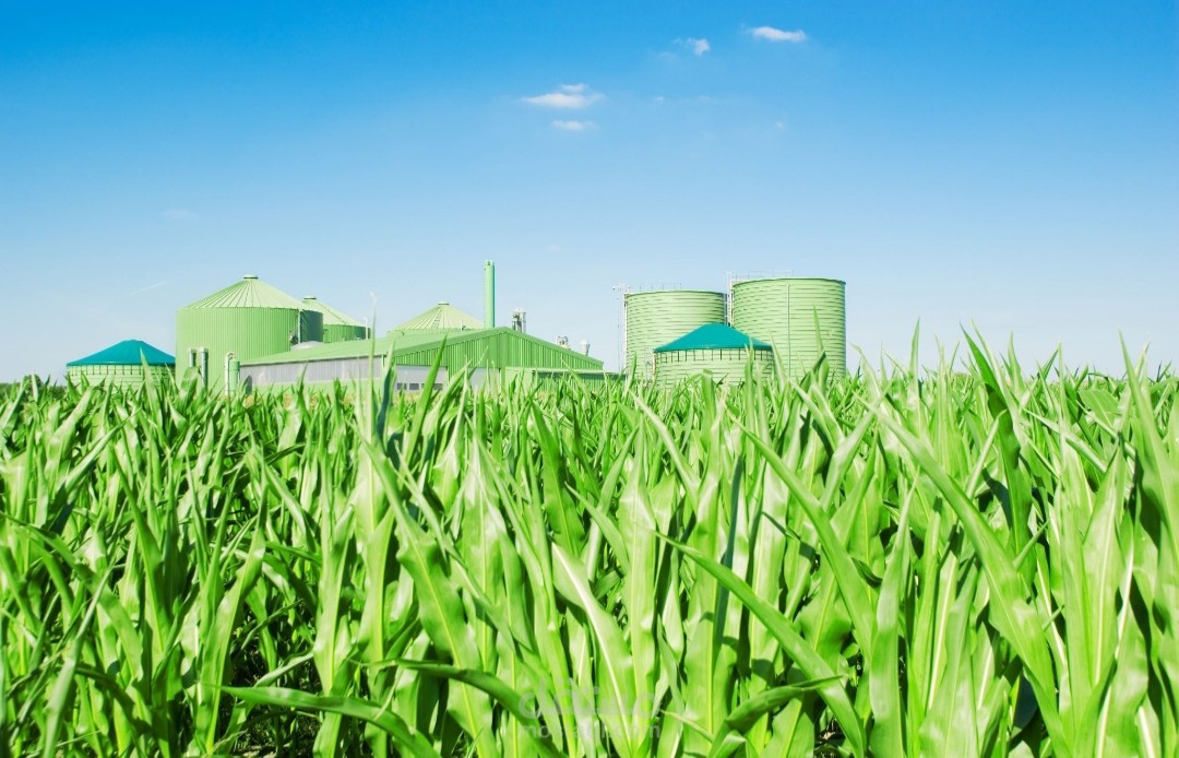 Agriculture