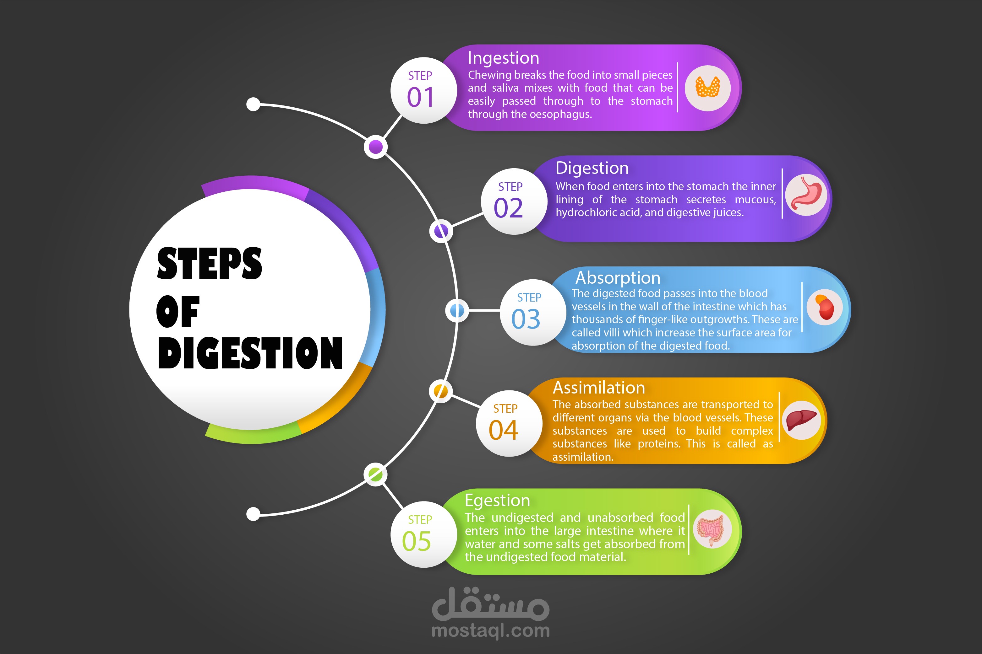 انفوجرافيك