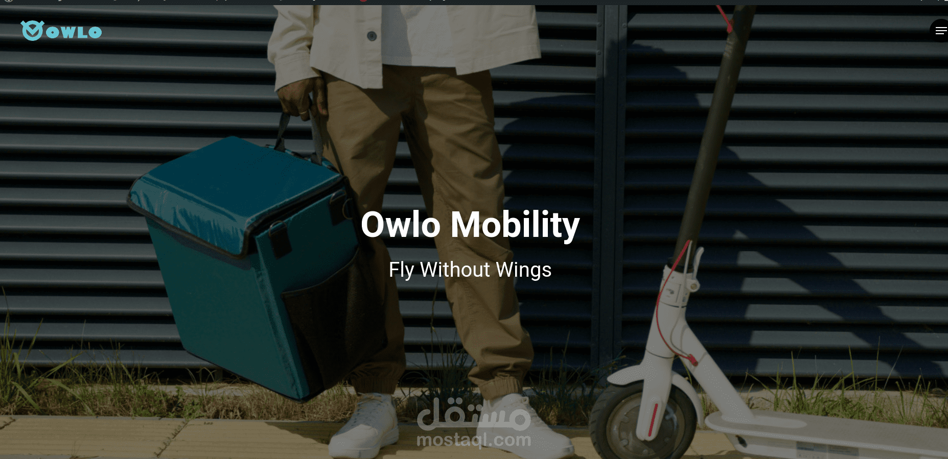 Owlo Mobility