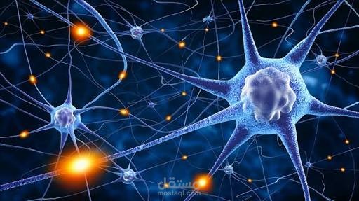 كتابة أبحاث / عروض باوربوينت علمية