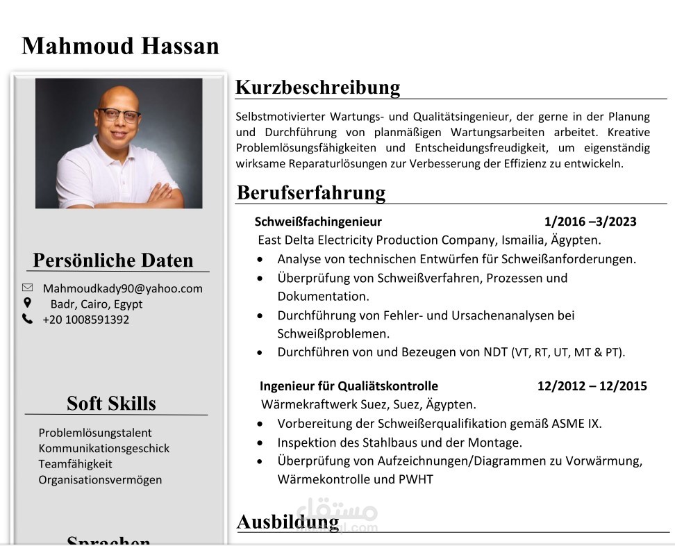 عمل سيرة ذاتية طبقا لATS باللغة العربية والانجليزية والالمانية بطريقة احترافية