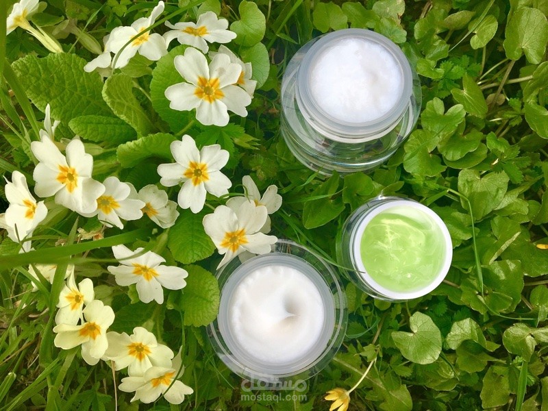 ترجمة كاتالوج منتجات العناية بالبشرة (من الإنجليزية إلى العربية)