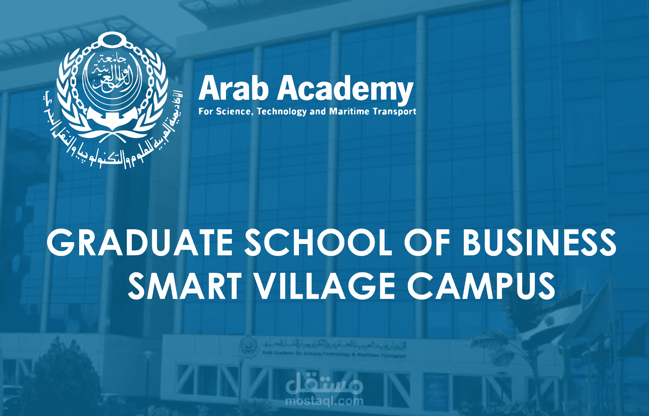 company profile arab academy