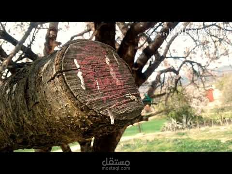 انتاج فيديو