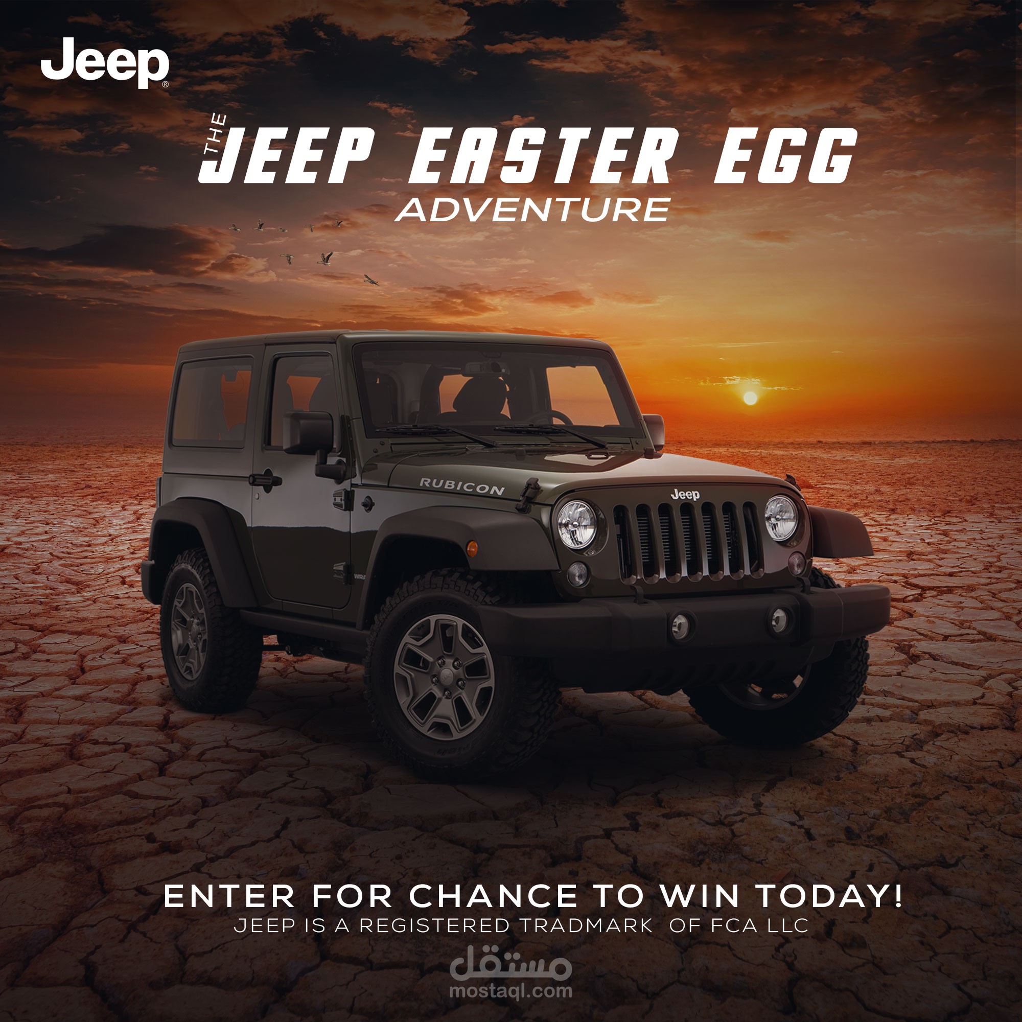 Social Media - Car Design