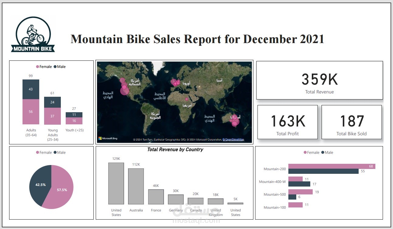 Mountain Bike Sales Report