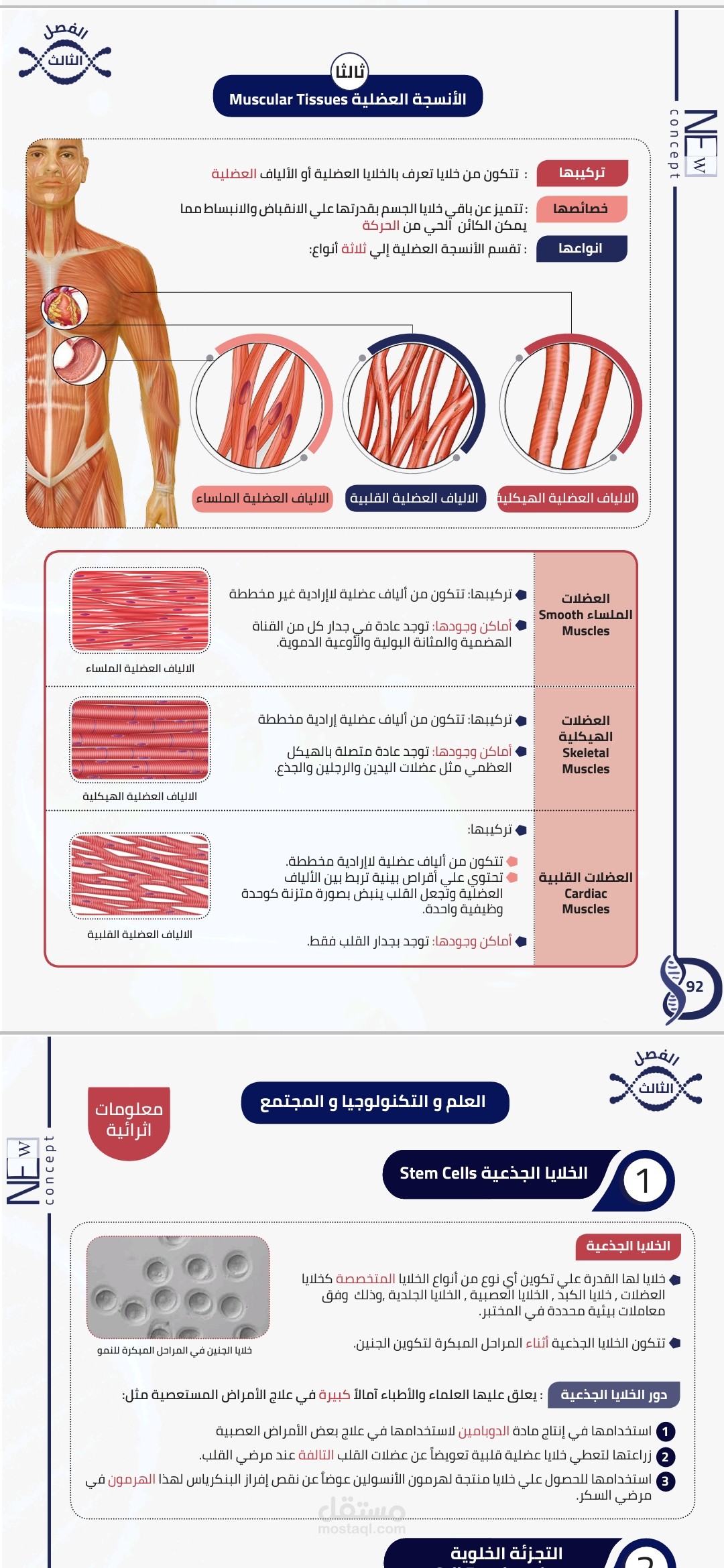 صياغة كتاب