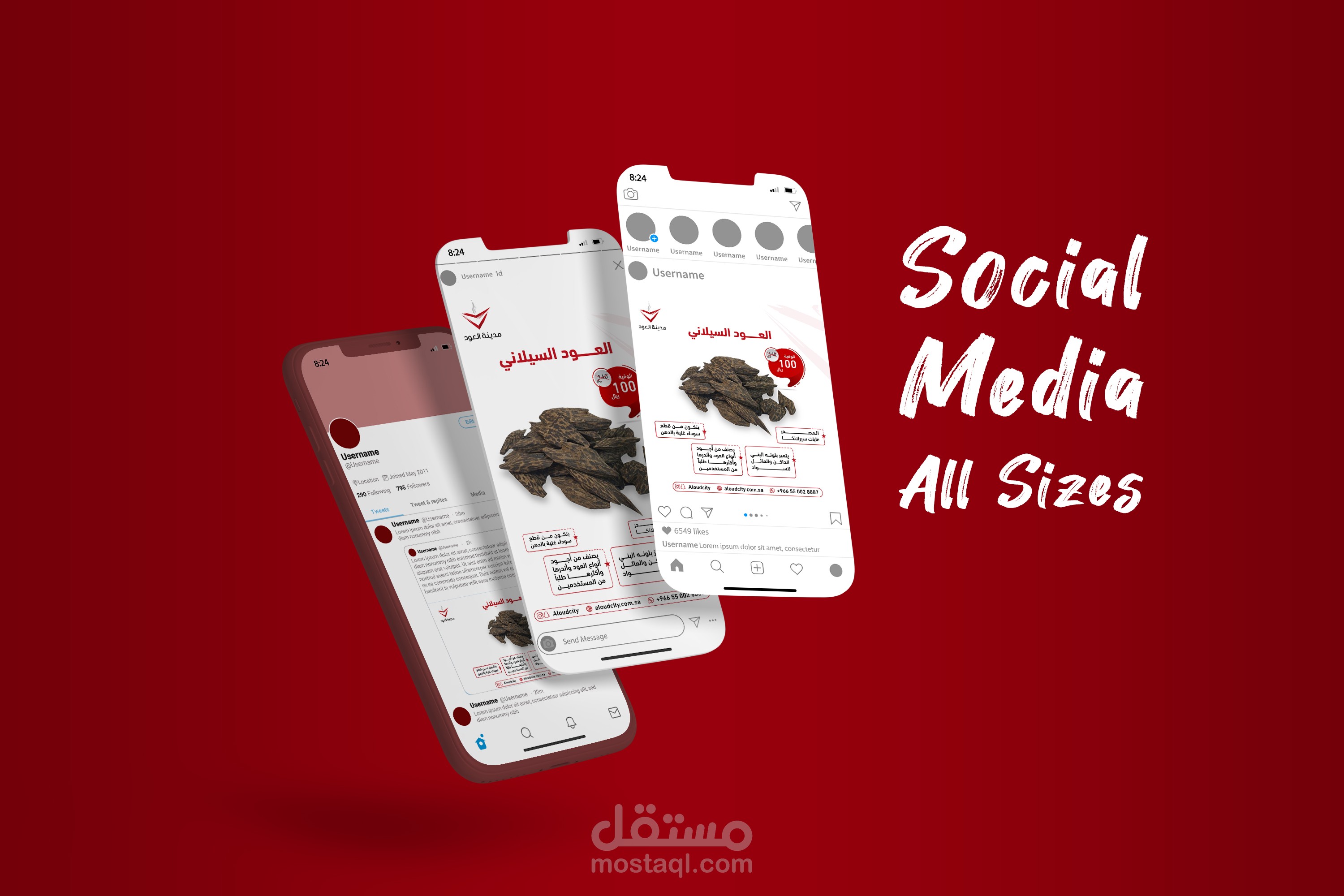 Social Media All Sizes