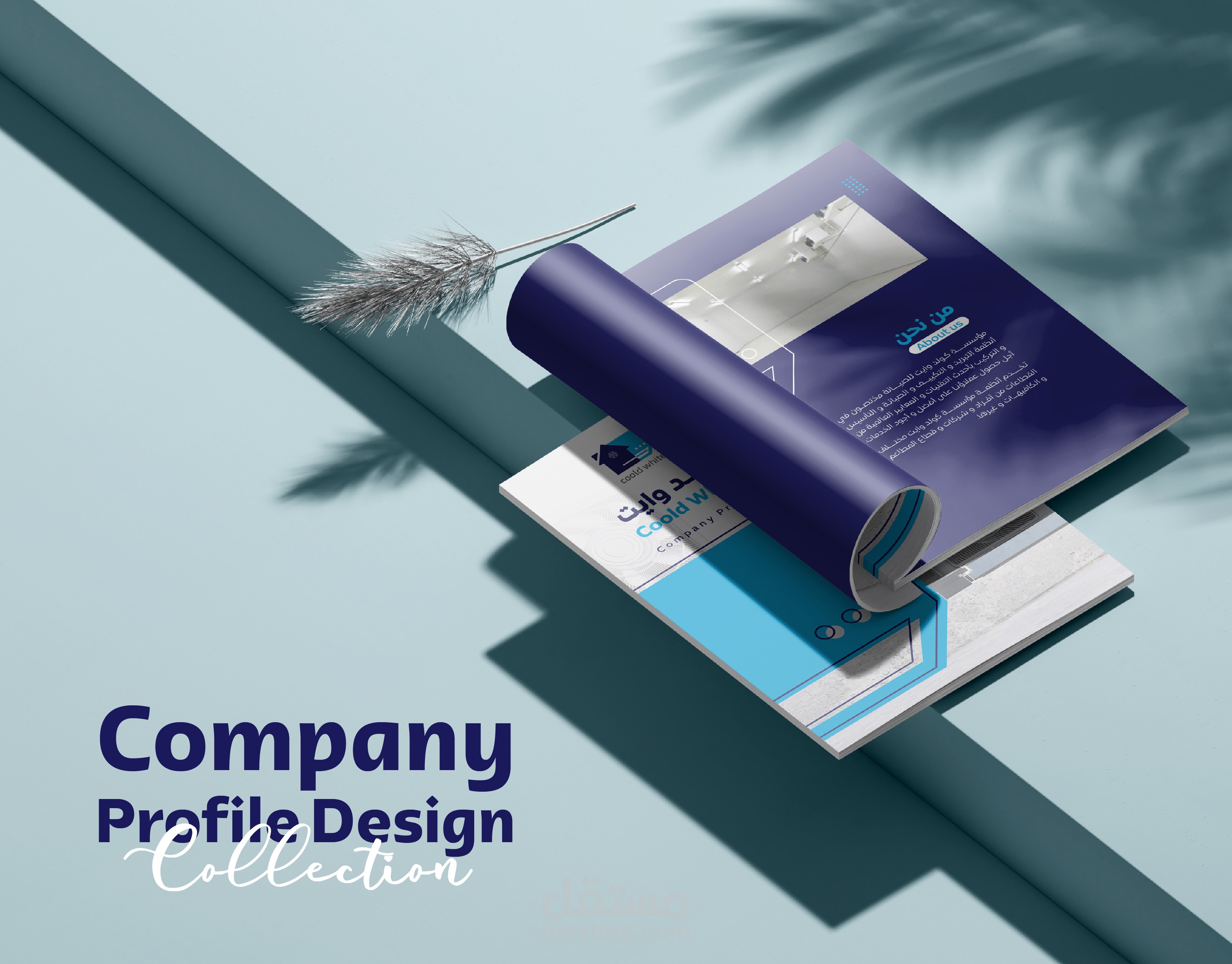 تصميم بروفايل شركة Company Profile Collection