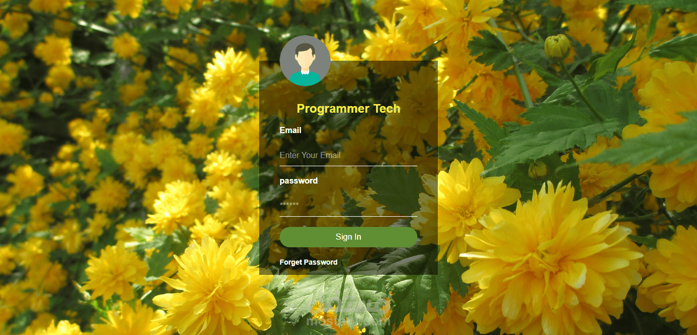 Login and Register