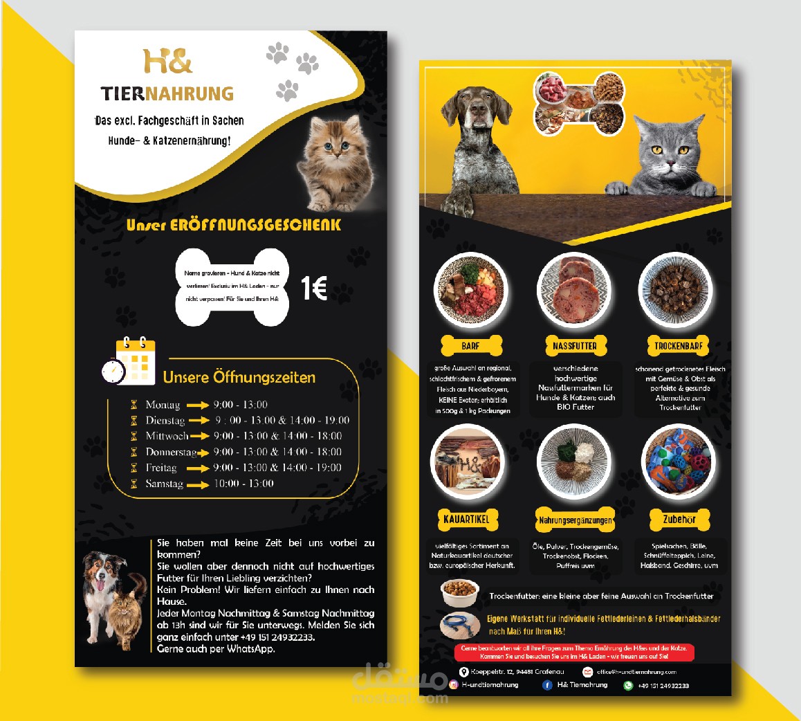 تصميم فلاير  H&