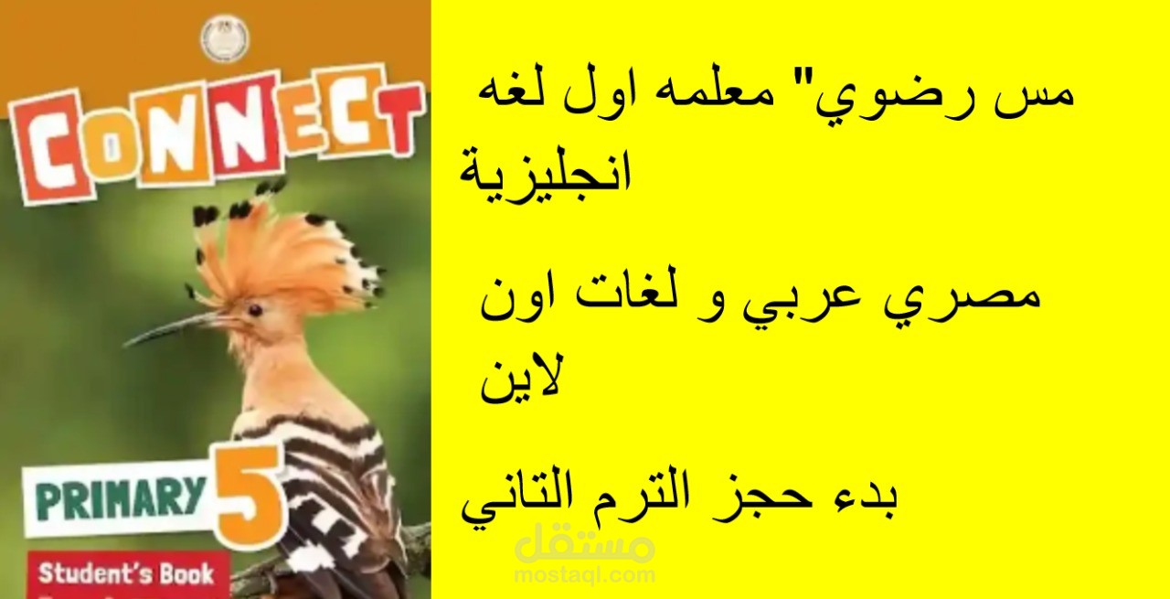 تدريس اون لاين لغه انجليزية