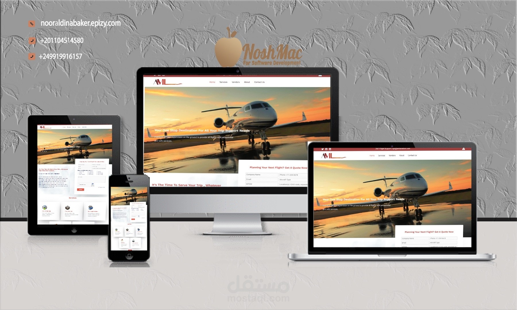 شركة طيران aml