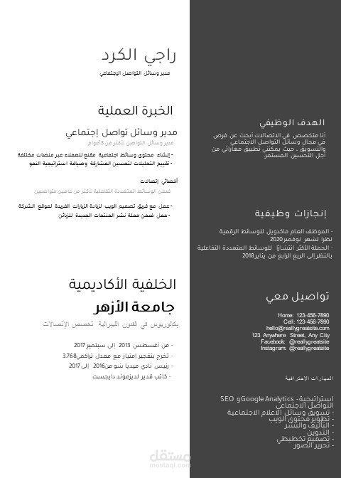 تصميم سيرة ذاتية إحترافية وعصرية للأعمال والشركات باللعة الإنجليزي والعربية cv -Modern Corporate Resume
