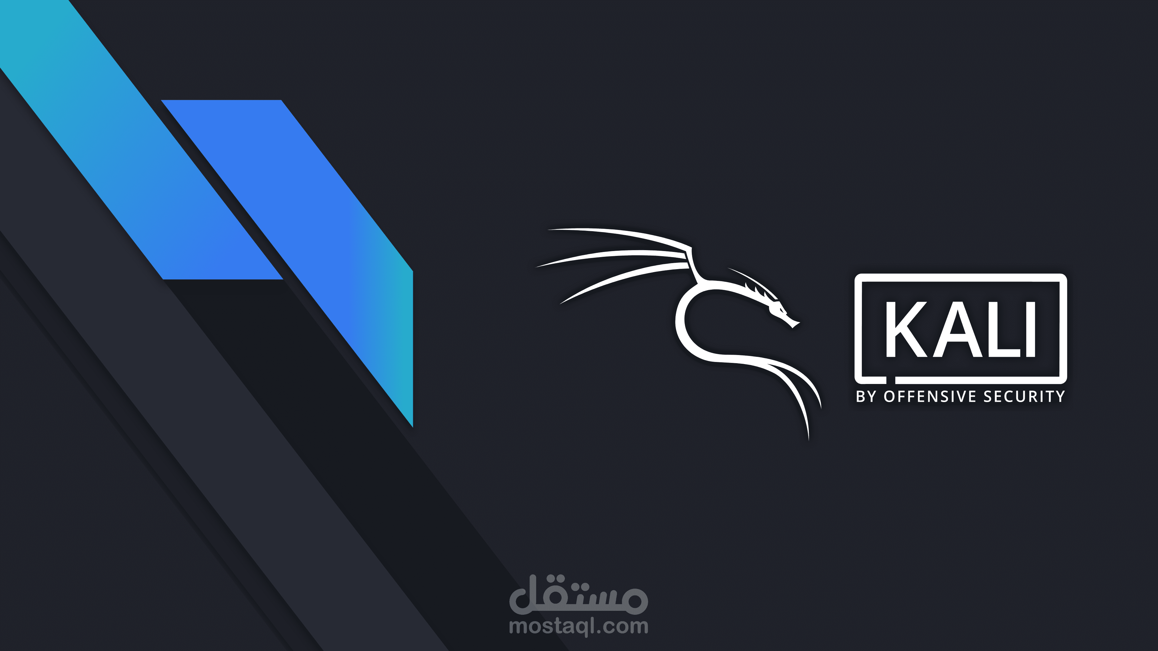 تطوير أداة على نظام لينكس باستخدام بايثون