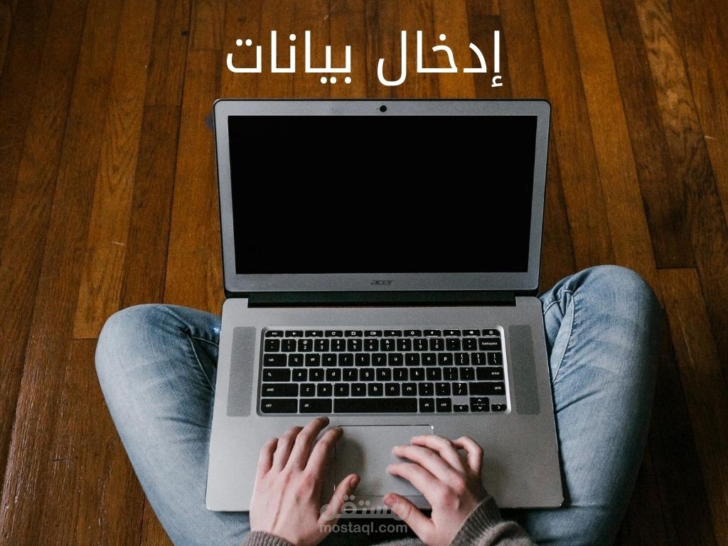 إدخال بيانات