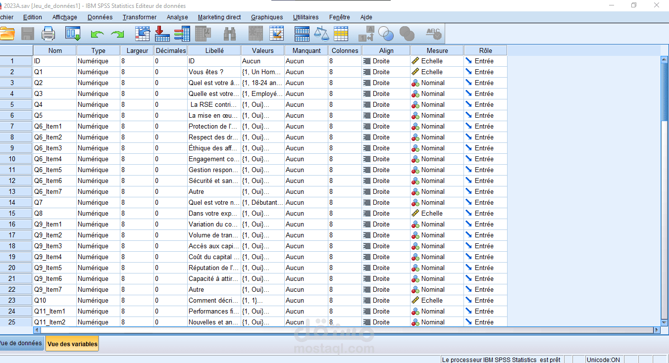 ترميز و العمل على برنامج SPSS