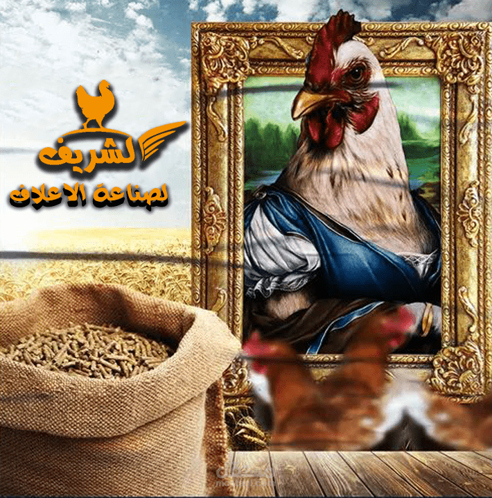 تصميم معرض علف دواجن