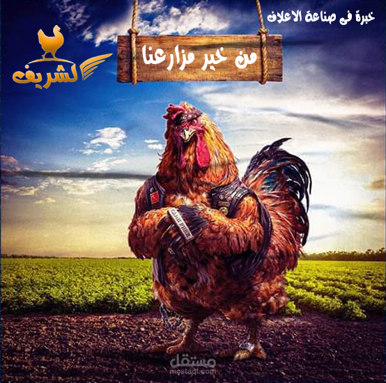 تم تصميم معرض علف