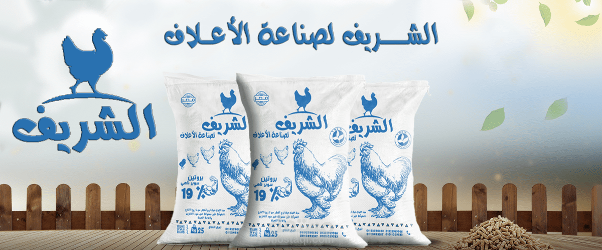 تصميم بنر لشركة اعلاف دواجن الشريف لصناعة الاعلاف