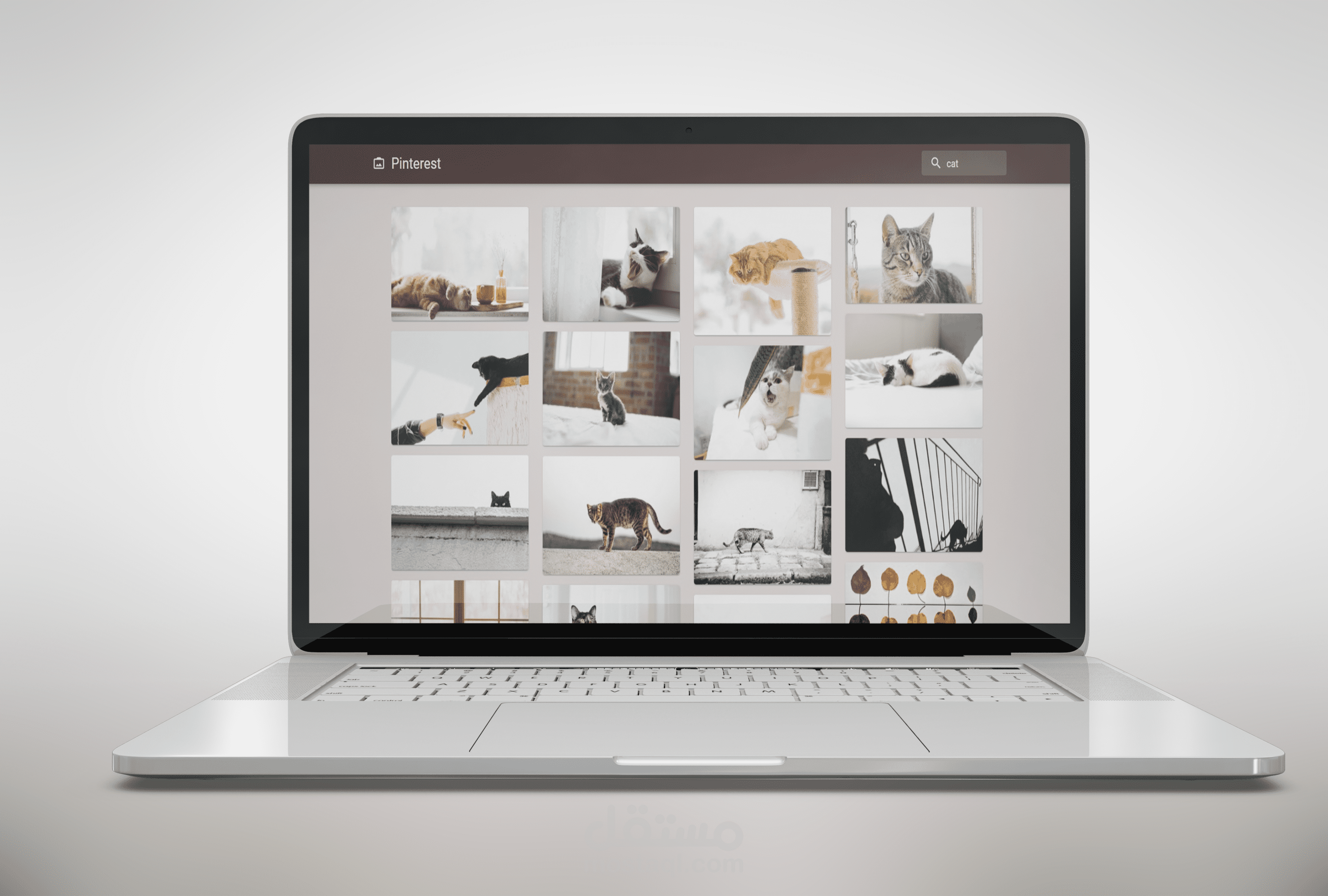 gallery app with react js