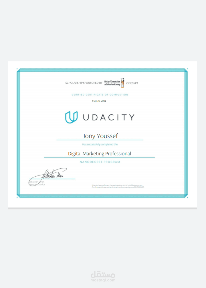 Professional Digital Marketer