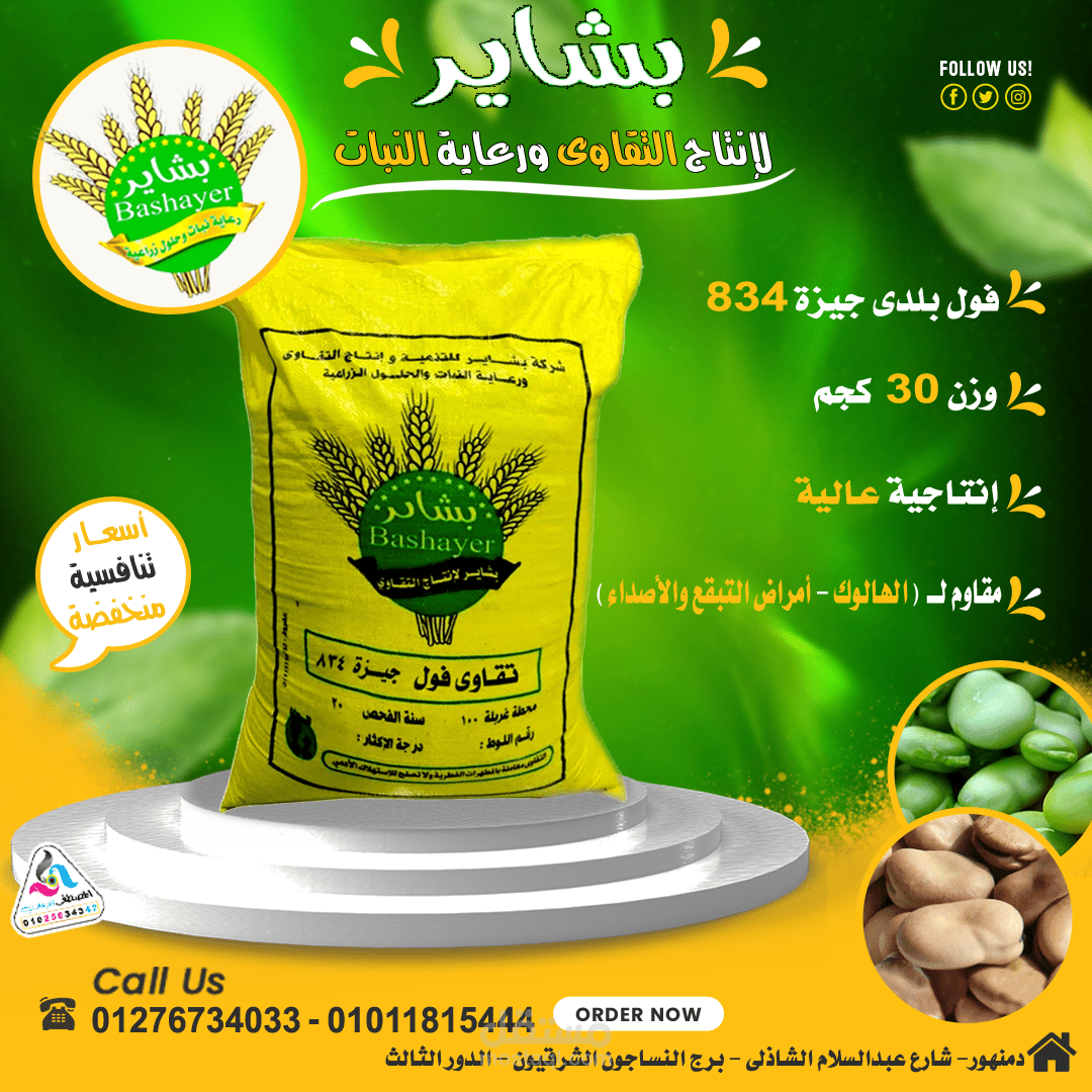 سوشيال