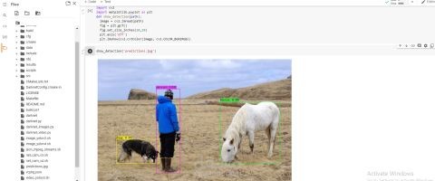 object detection