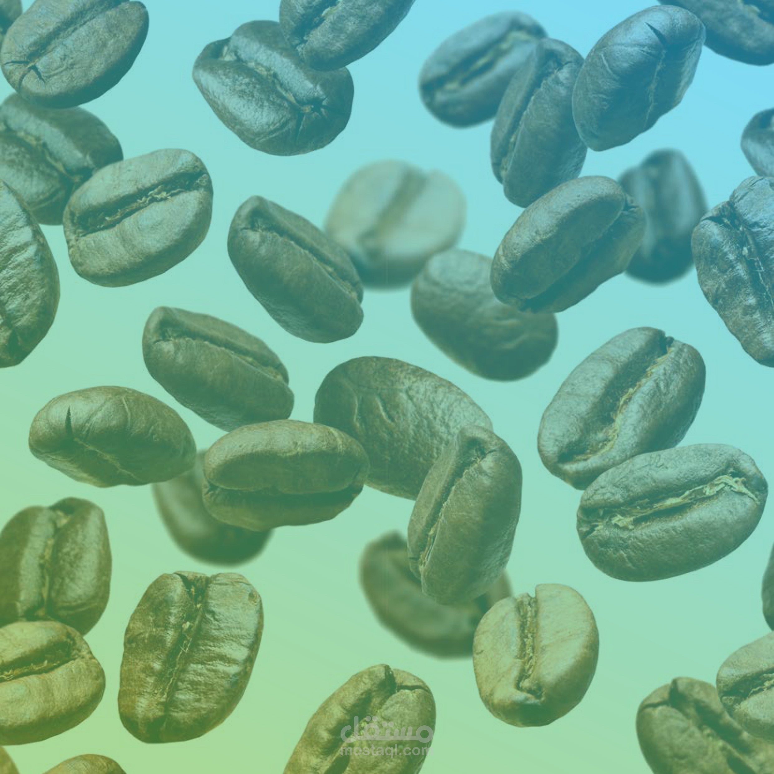 شعارات كافي