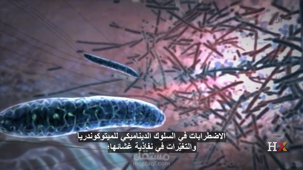 Powering the Cell - Mitochondria (Translation Project)