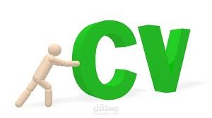 كتابة cv باحتراف مع عمل ديزاين متميز لها