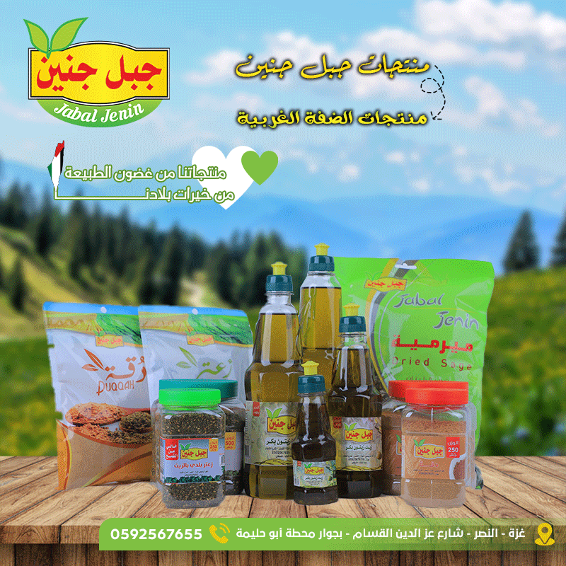 تصميم سوشيال ميديا