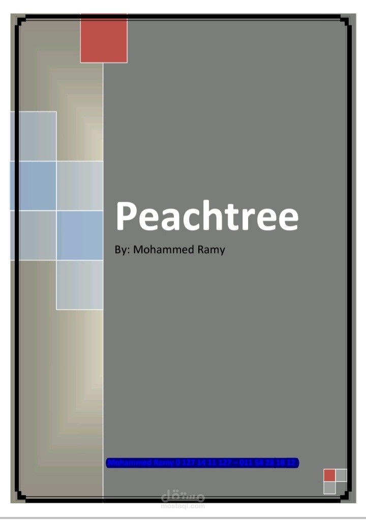 شرح برنامج peachtree