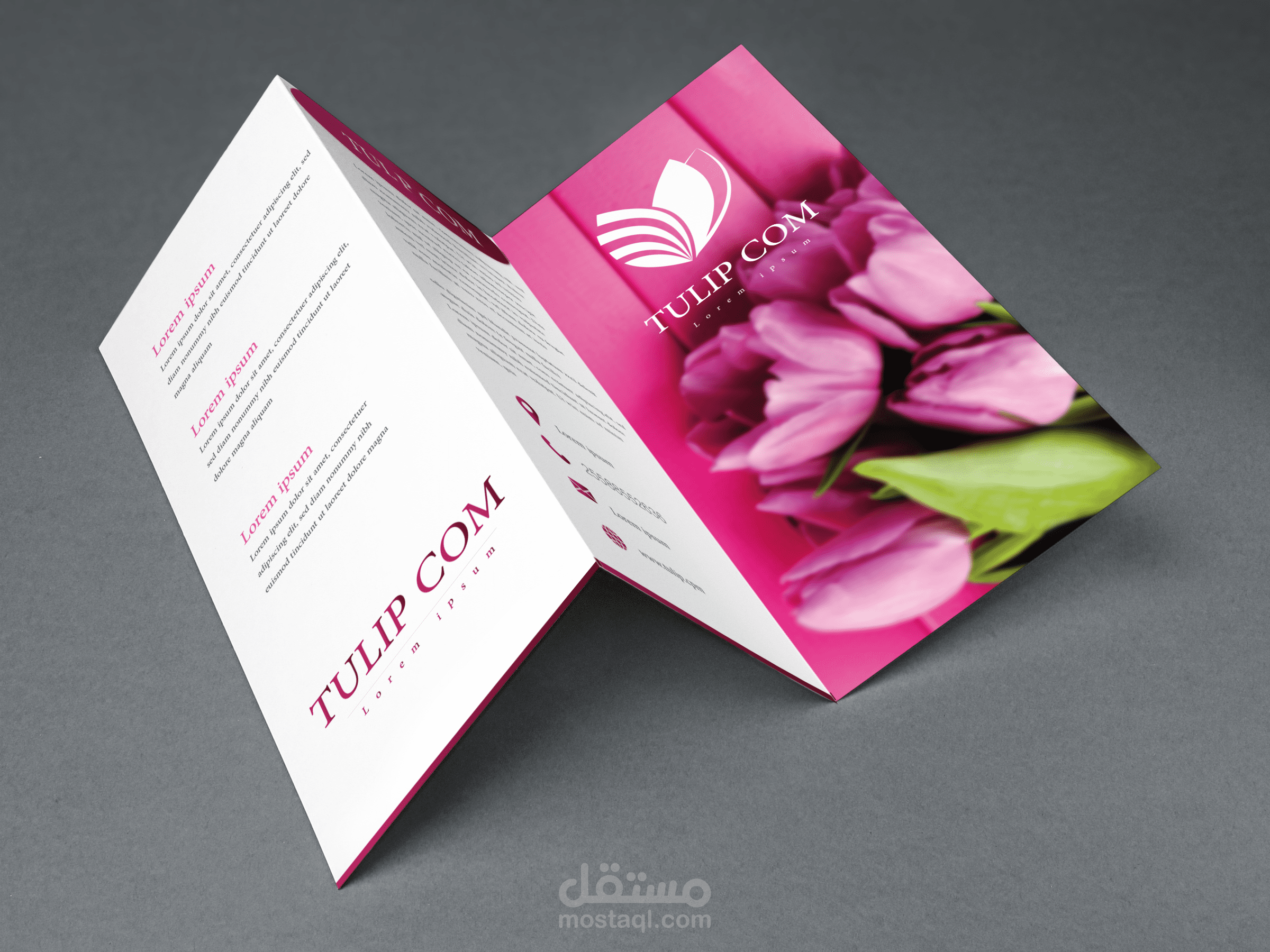 تصميم بروشور  brochure