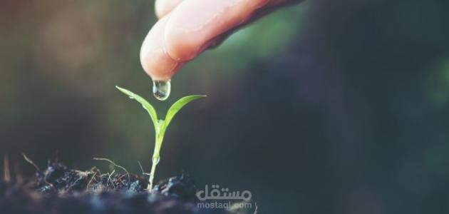 مشروع بحثي للمرحلة الابتدائية