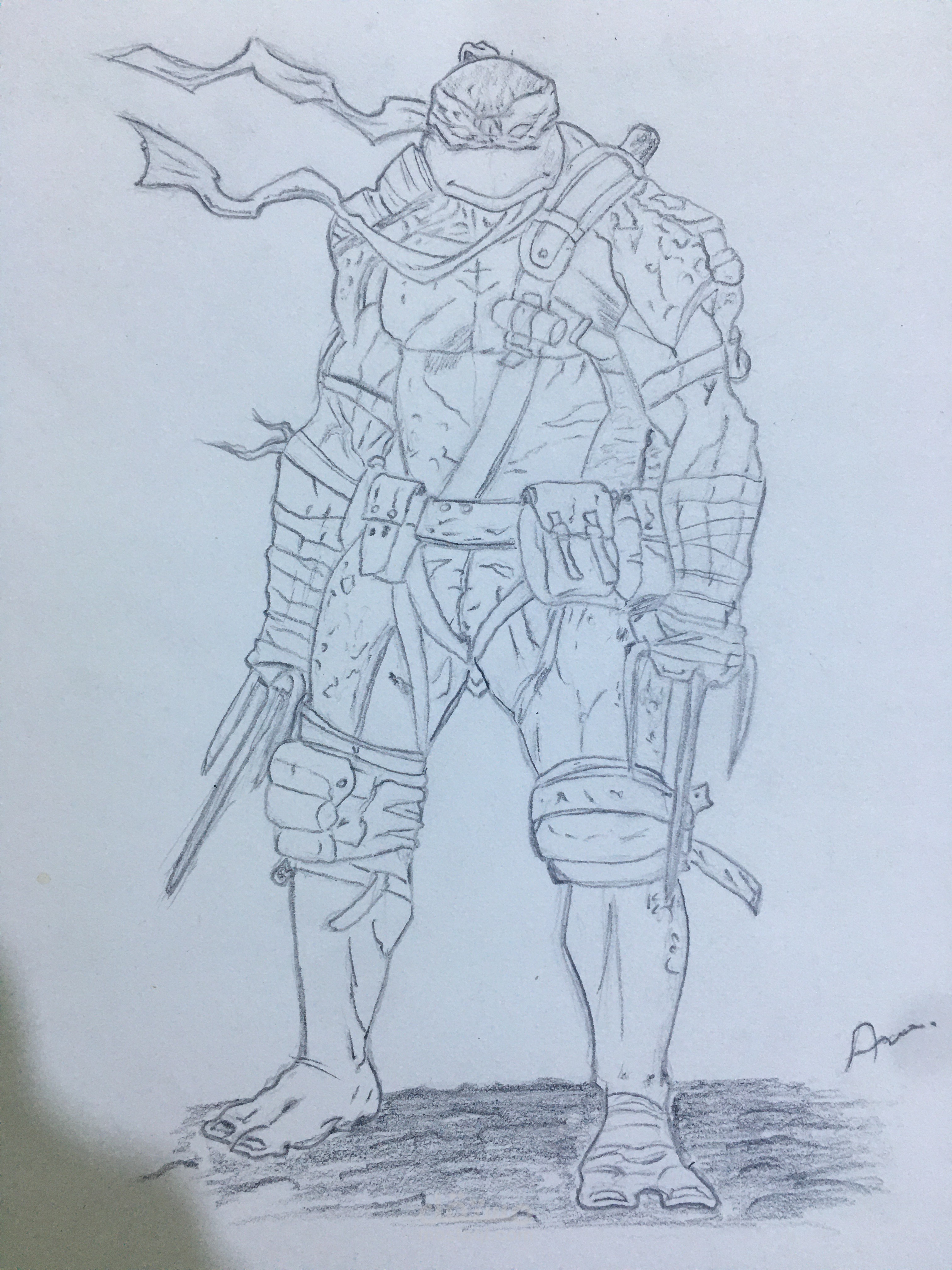 سلاحف النينجا ( رافييل )