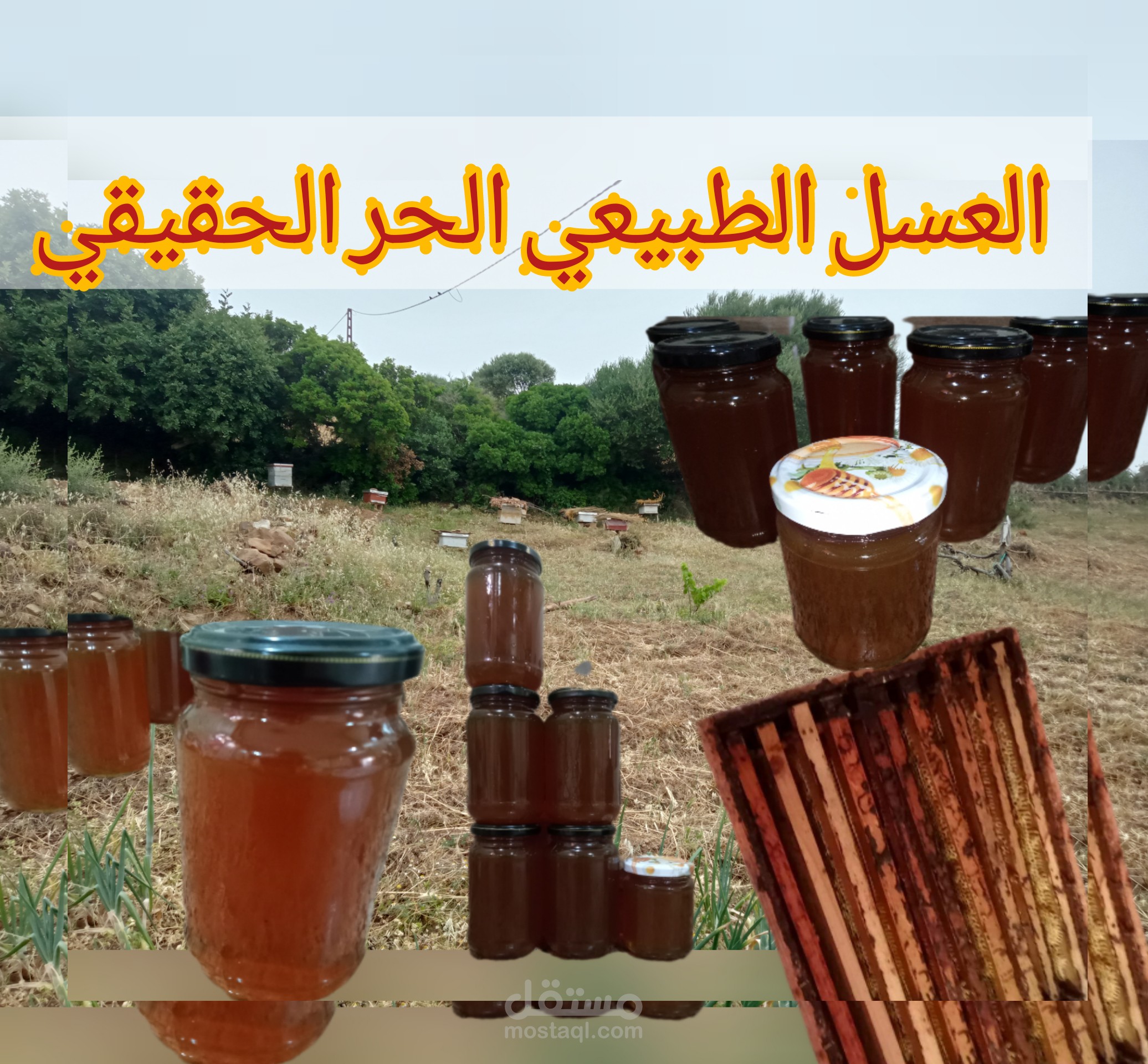تصميم اعلان لبيع العسل