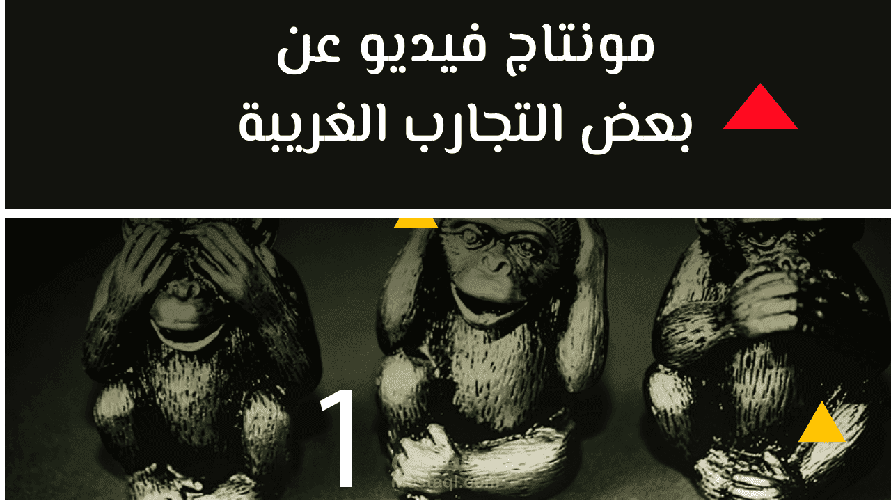 مونتاج فيديو عن بعض التجارب الغريبة - الفيديو (1)
