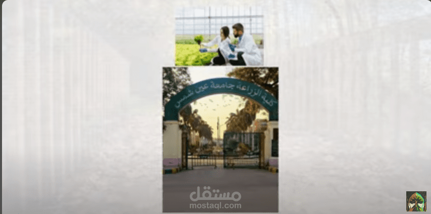 فديو وايت بورد