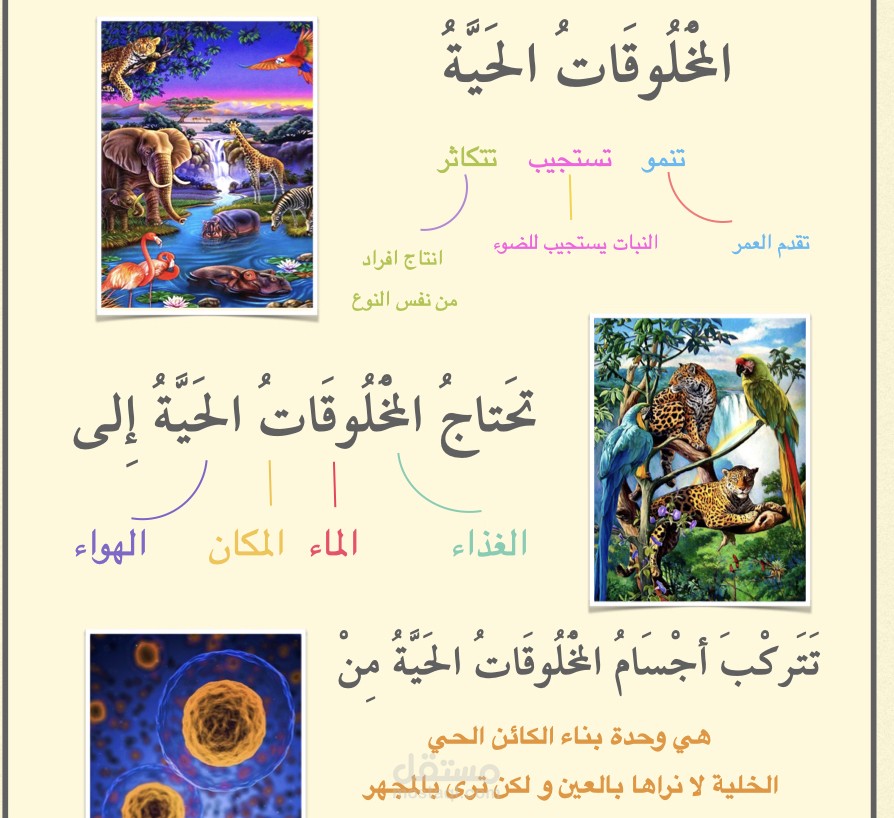 تحويل البيانات الى رسومات وصور