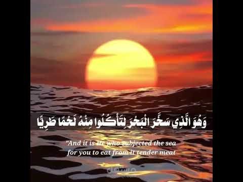 تصميم فيديو اسلامي عبر برنامج كاين ماستر