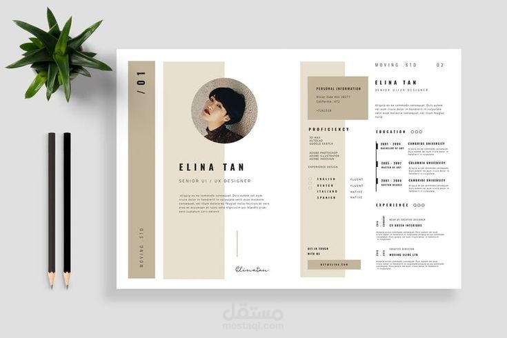 Professional CV