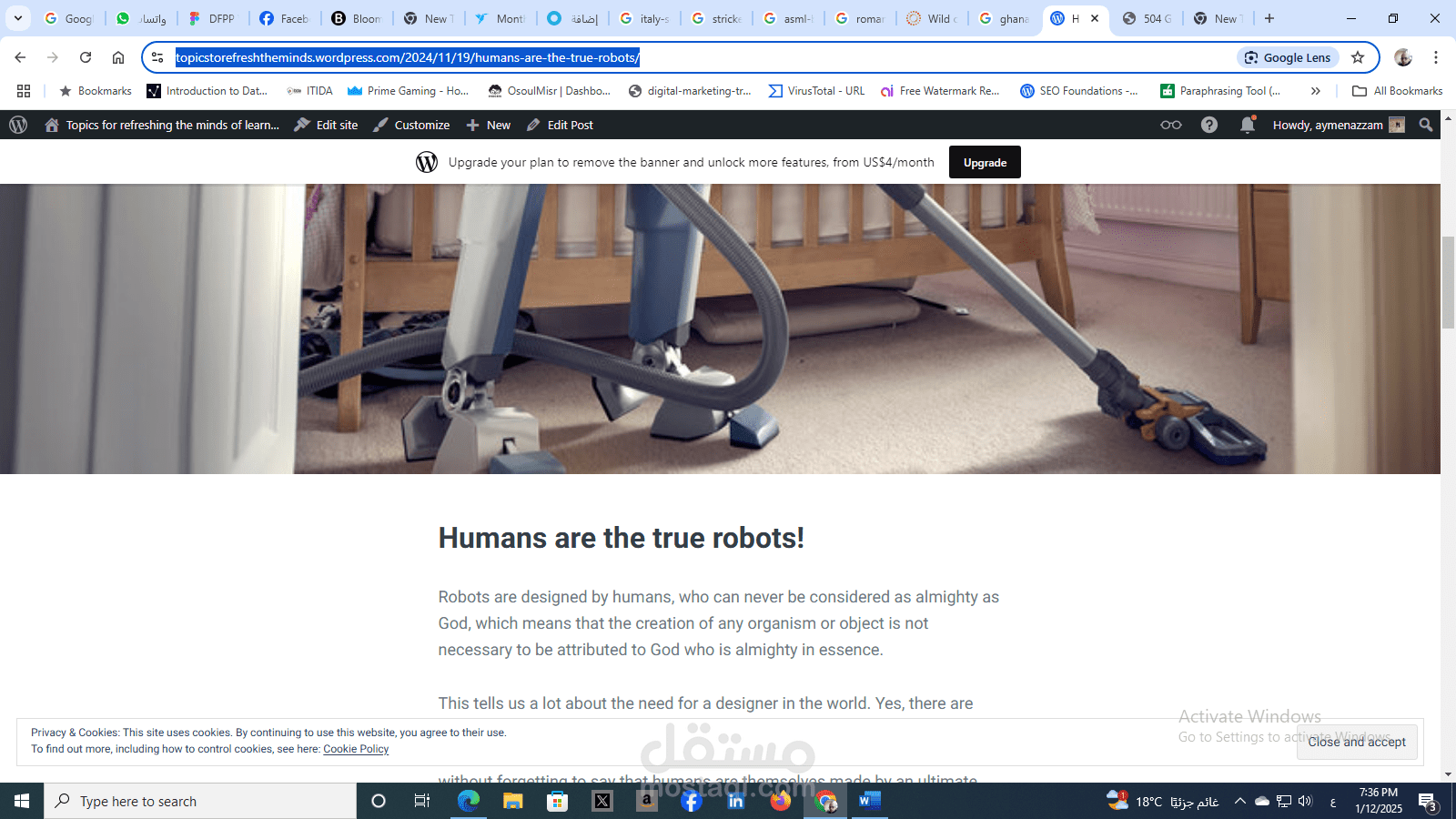 humans-are-the-true-robots/