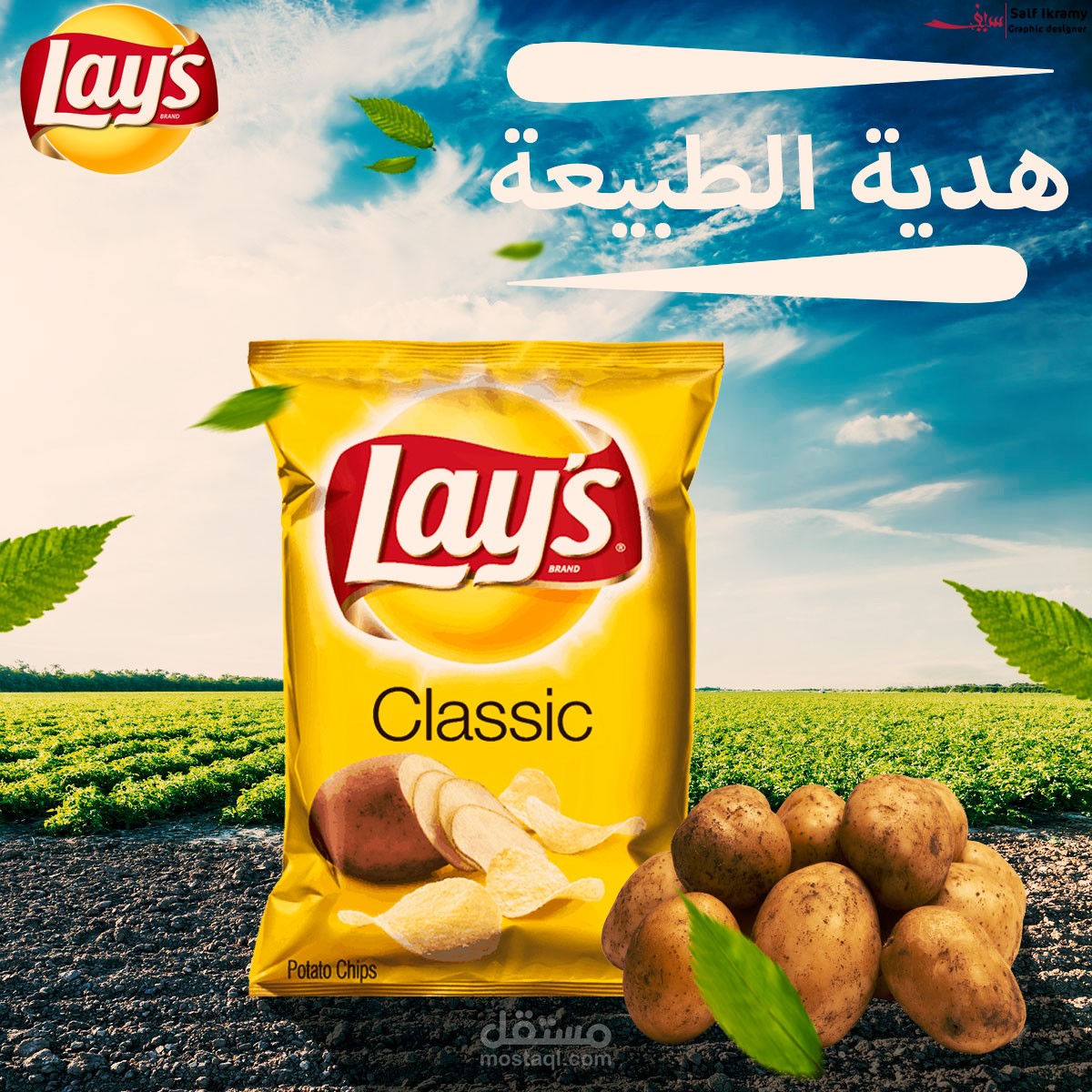 سوشيال ميدايا
