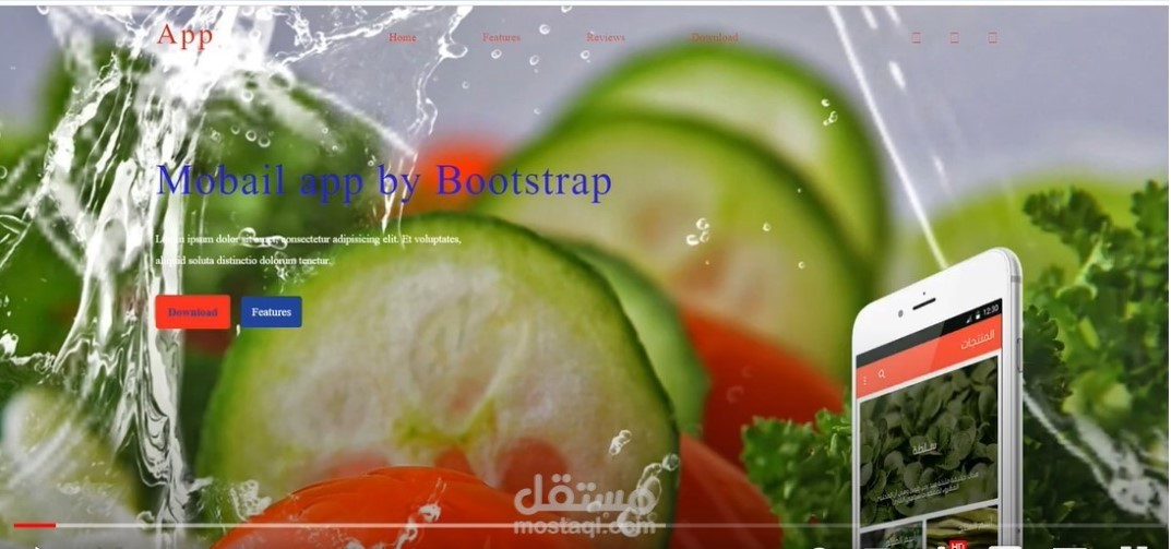 تطوير صفحة هبوط لتطبيق موبايلlanding page