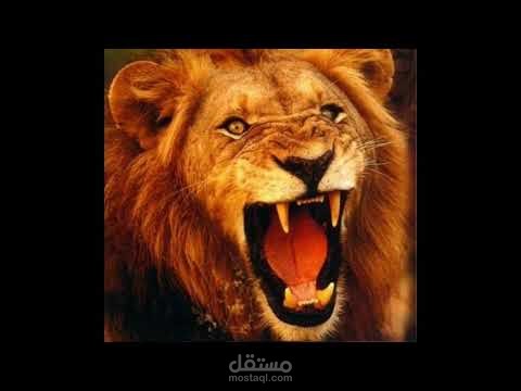 قصيدة باللغة العربية