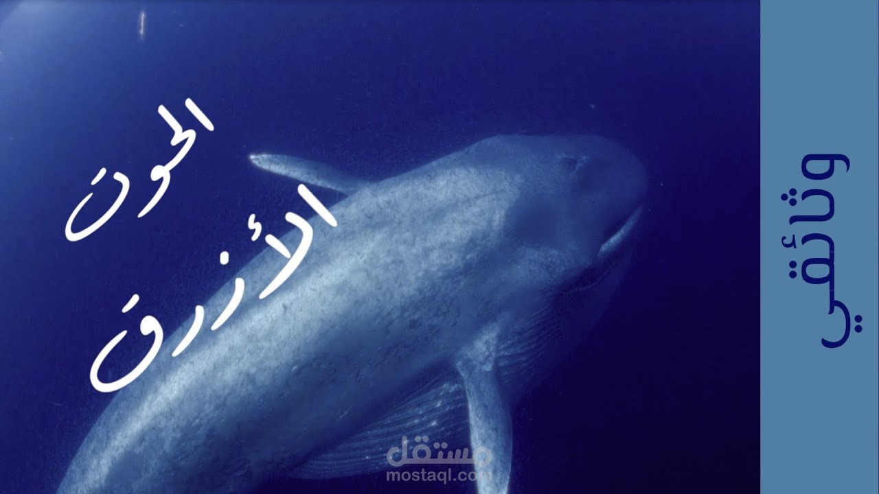 وثائقي الحوت الأزرق